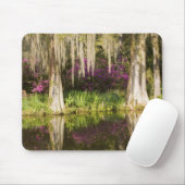 Tapis De Souris États-Unis, Caroline du Sud, Charleston. Cyprès (Avec souris)