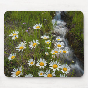 Tapis De Souris États-Unis, Colorado, Montagnes de San Juan. Margu
