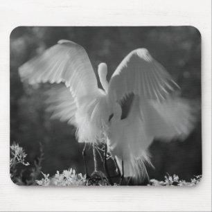 Tapis De Souris États-Unis, Floride, Grande Aigrette (Ardea alba)