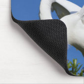 Tapis De Souris États-Unis, Floride, Saint-Augustine, Egret (Coin)