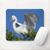 Tapis De Souris États-Unis, Floride, Saint-Augustine, Egret (Avec souris)
