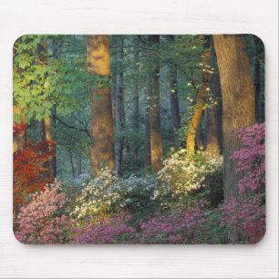 Tapis De Souris États-Unis, Géorgie, Callaway Gardens, forêt d'Aza