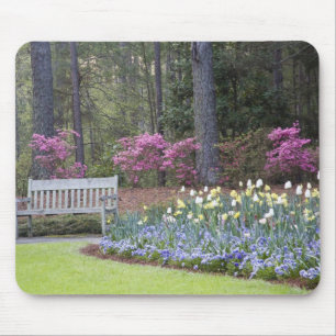 Tapis De Souris États-Unis, Géorgie, Pine Mountain. Une bordure de