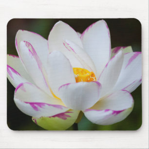 Tapis De Souris États-Unis, Géorgie, Savannah, Fleur de lotus en f