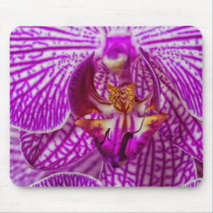 Tapis De Souris États-Unis, Géorgie, Savannah, Gros plan d'orchidé