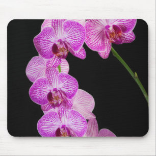 Tapis De Souris États-Unis, Géorgie, Savannah, Groupe d'orchidées