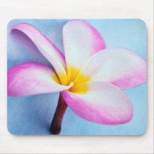 Tapis De Souris États-Unis, Hawaï, Oahu, fleurs de la plumeria en