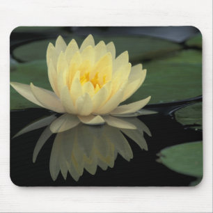 Tapis De Souris États-Unis, Kentucky, Louisville Nénuphar domestiq