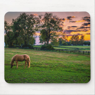 Tapis De Souris États-Unis, Lexington, Kentucky. Cheval solitaire