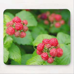 Tapis De Souris États-Unis, Massachusetts, Nantucket. Framboises m