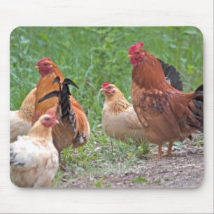 Tapis De Souris États-Unis, Nebraska. Poules