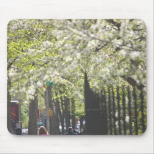 Tapis De Souris États-Unis, New York, New York City, Manhattan: 8