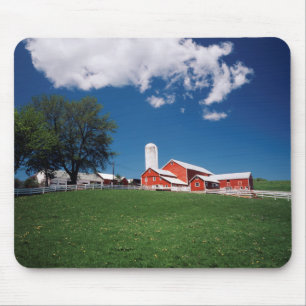 Tapis De Souris États-Unis, New York, Sharon Springs, Ferme