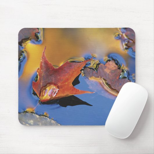 Tapis De Souris États-Unis, Nord-Est, Feuille d'érable en réflexio (Avec souris)
