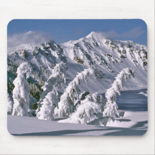Tapis De Souris États-Unis, Oregon, Crater Lake NP. Les arbres plo
