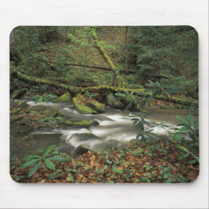 Tapis De Souris États-Unis, Tennessee. Big South Fork National Riv