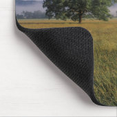 Tapis De Souris États-Unis, Tennessee. Great Smokey Mountains (Coin)