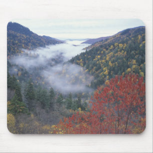 Tapis De Souris États-Unis, Tennessee, Great Smokey Mountains Nat