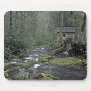 Tapis De Souris États-Unis, Tennessee, Great Smoky Mountains Natio