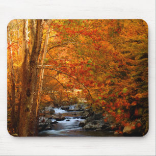 Tapis De Souris États-Unis, Tennessee. Rushing Mountain Creek 2