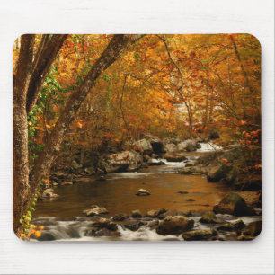Tapis De Souris États-Unis, Tennessee. Rushing Mountain Creek 3