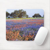 Tapis De Souris États-Unis, Texas, Llano. Bluebonnets et redbonnet (Avec souris)