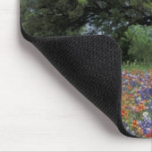 Tapis De Souris États-Unis, Texas, Marble Falls Paintbrush et (Coin)