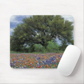 Tapis De Souris États-Unis, Texas, Marble Falls Paintbrush et (Avec souris)