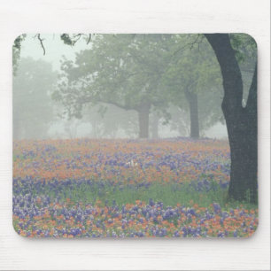 Tapis De Souris États-Unis, Texas. Pinceau de Texas et bleuets