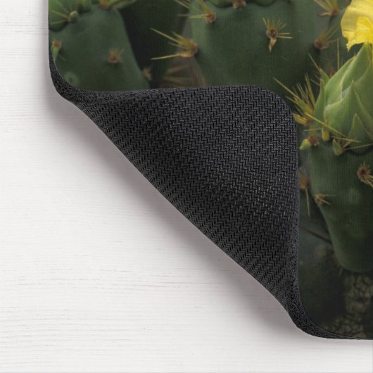 Tapis De Souris États-Unis, Texas, Prickly Pear Cactus en fleurs. (Coin)
