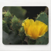 Tapis De Souris États-Unis, Texas, Prickly Pear Cactus en fleurs. (Devant)