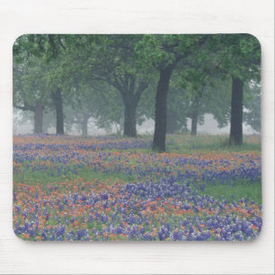Tapis De Souris États-Unis, Texas, Texas Hill Country Champ d'exp