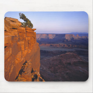 Tapis De Souris États-Unis, Utah, Dead Horse Point SP. Lumière tar