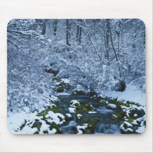 Tapis De Souris États-Unis, Utah, Forêt nationale de Wasatch-Catch