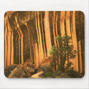 Tapis De Souris États-Unis, Utah, Parc national de Capitol Reef