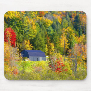 Tapis De Souris États-Unis, Vermont. Feuillage d'automne le long d