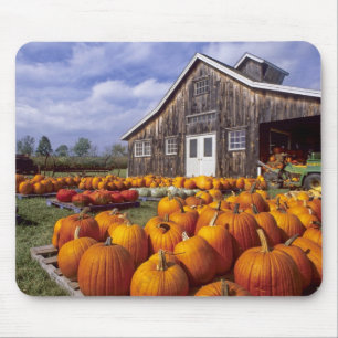 Tapis De Souris États-Unis, Vermont, Shelbourne, Citrouilles