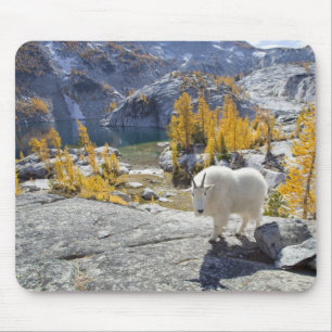 Tapis De Souris États-Unis, WA, Alpine Lakes WIlderness Enchantmen