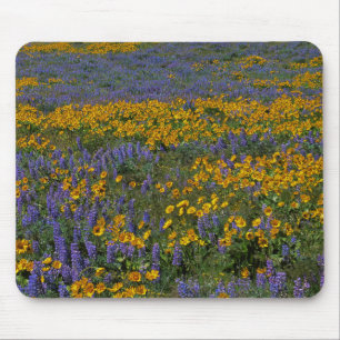 Tapis De Souris États-Unis, Washington, Columbia River Gorge Natio