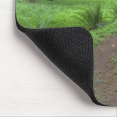 Tapis De Souris États-Unis, Washington, Olympic National Park, (Coin)