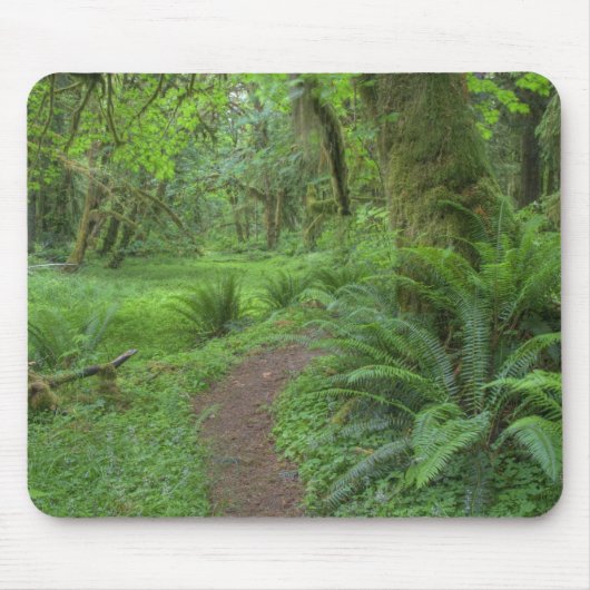 Tapis De Souris États-Unis, Washington, Olympic National Park, (Devant)