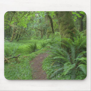 Tapis De Souris États-Unis, Washington, Parc national Olympique,