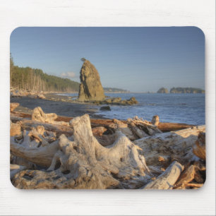 Tapis De Souris États-Unis, Washington, Parc national Olympique, R