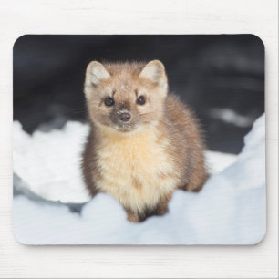Tapis De Souris États-Unis, Wyoming, Parc national de Yellowstone