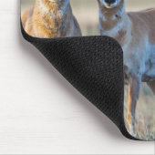 Tapis De Souris Etats-Unis, Wyoming, quatre dollars d'antilope Pro (Coin)