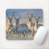 Tapis De Souris Etats-Unis, Wyoming, quatre dollars d'antilope Pro (Avec souris)