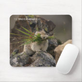 Tapis De Souris Été - American Pica (Avec souris)