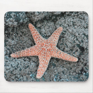 Tapis De Souris Étoiles de mer Mousepad