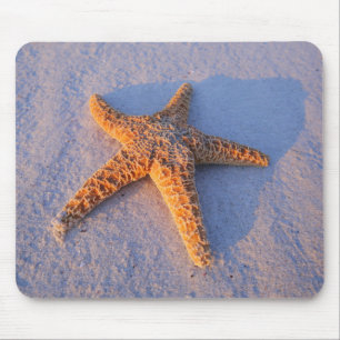 Tapis De Souris Étoiles de mer sur le sable blanc