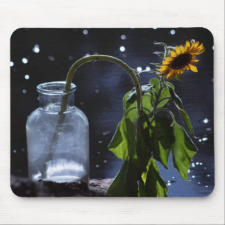 tapis de souris étoiles tournesol